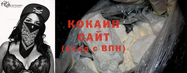 apvp Дмитриев