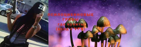 apvp Дмитриев