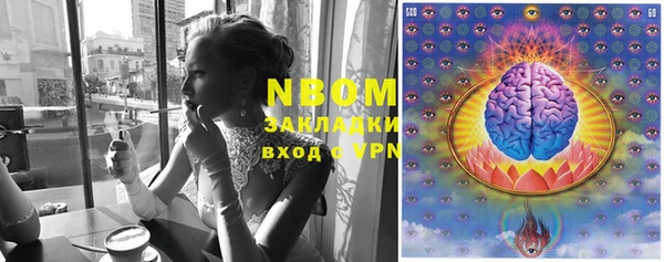 apvp Дмитриев