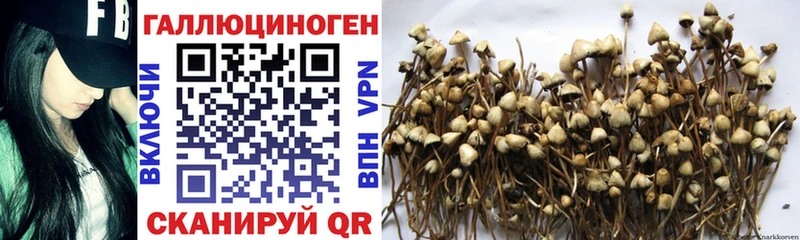 Купить  Североморск  Псилоцибиновые грибы мухоморы 